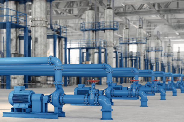 Best Local Plumber Services  in East Gaffney, SC